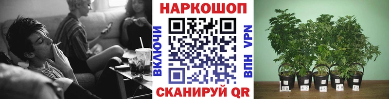 Купить Краснокамск A-PVP  Мефедрон  Кокаин  ГАШ  Марихуана 