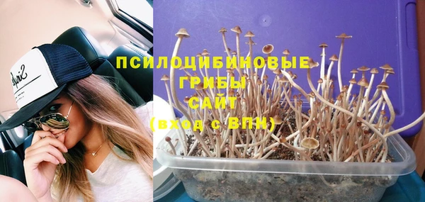 герыч Осинники